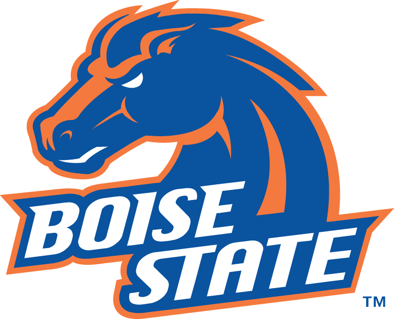 Boise State Broncos 2002-2012 Alternate Logo v3 diy iron on heat transfer